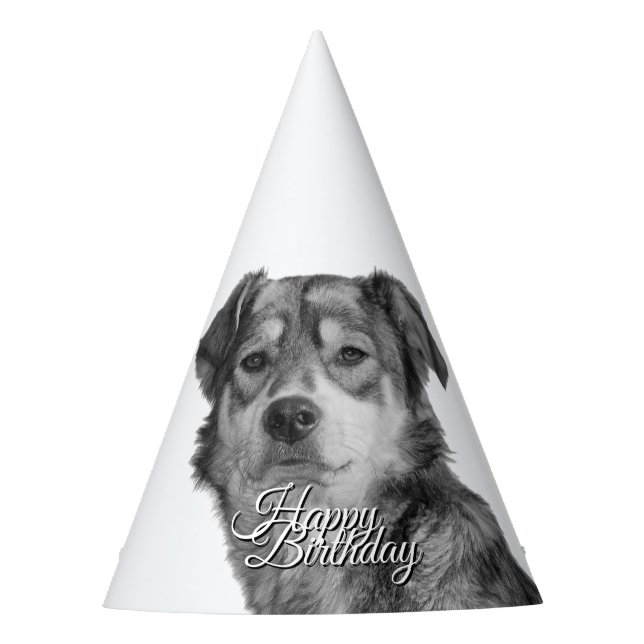 Gorro De Fiesta Perro Mestizo Monocromo Refinado Cumpleaños (Anverso)