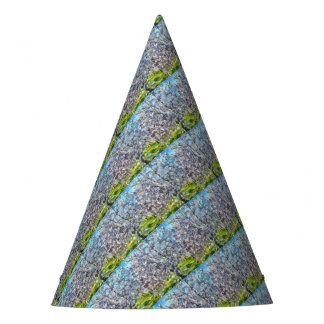 Gorro De Fiesta Pintura de estilo de estilo de estilo de diseño co
