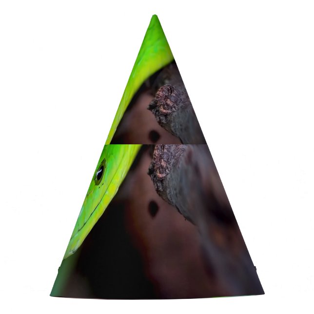 Gorro De Fiesta Pitón de la serpiente verde (Anverso)
