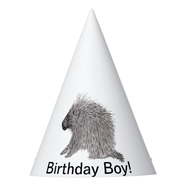 Gorro De Fiesta Porcupina (Anverso)