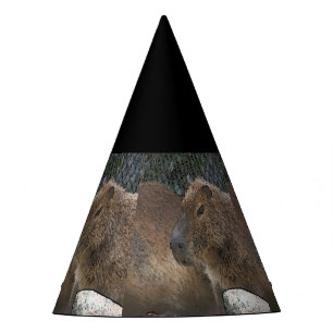 Gorro De Fiesta toony Capibarah