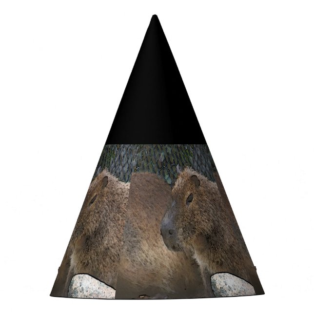 Gorro De Fiesta toony Capibarah (Anverso)
