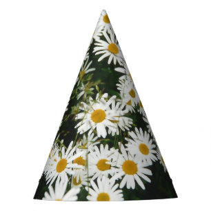 Gorro De Fiesta White Oxeye Daisy, Moon Daisy Meadow