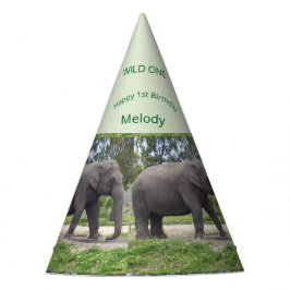 Gorro De Fiesta Wild One Elephant Birthday Cone Design