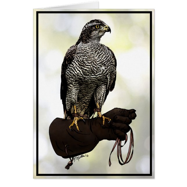 Goshawk en Glove (Frente)