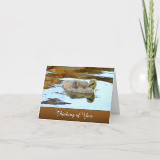 Gosling suave - Pensando en ti - Tarjeta en blanco