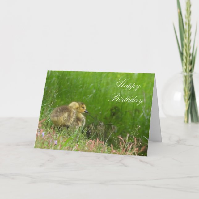 Goslings Birthday o tarjeta de saludo. Personaliza (Anverso)