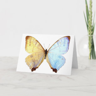 Gossamer Blue Butterfly Wings Nota Tarjeta de Cump