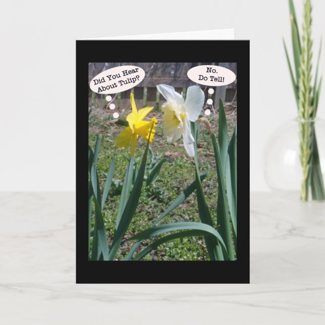 Gossiping Daffies Amistad Tarjeta de Saludo (Anverso)
