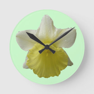 Gota del reloj de pared del Daffodil