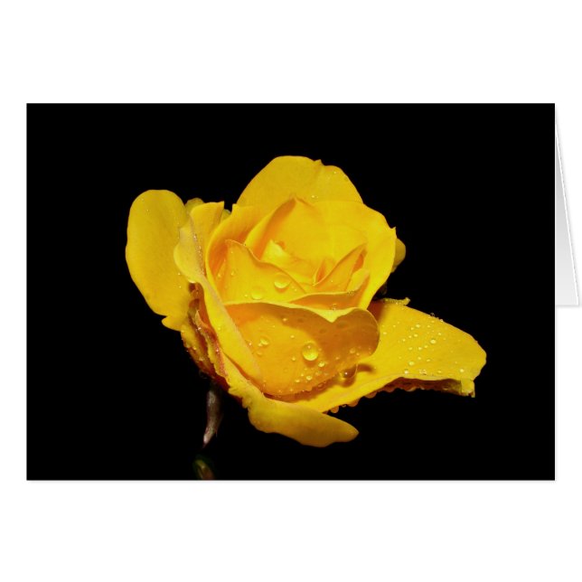 gotas (Anverso (Horizontal))