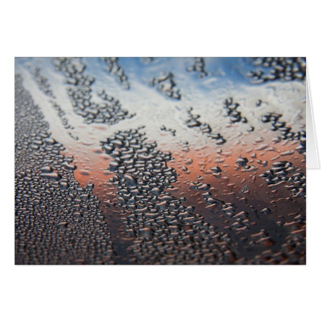 Gotas de agua condensadas (Anverso (Horizontal))