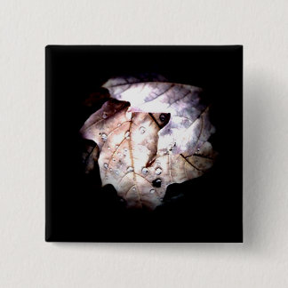 Gotas de agua del otoño 1 botón