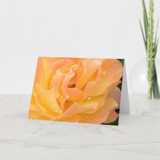 Gotas de agua en tarjeta en blanco de los rosas