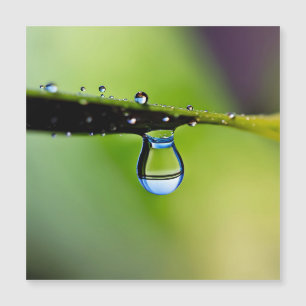 Gotas de agua macro