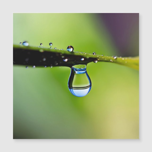 Gotas de agua macro (Anverso)