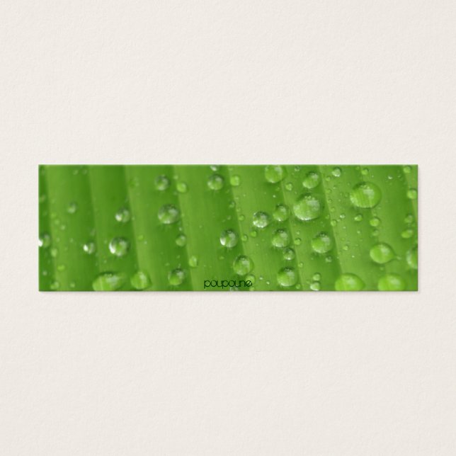 gotas de lluvia (Frente)