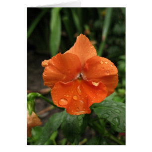 Gotas de lluvia en Blank_Naranja