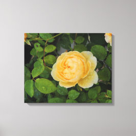 Gotas de lluvia en lienzo estirado en rosa amarill