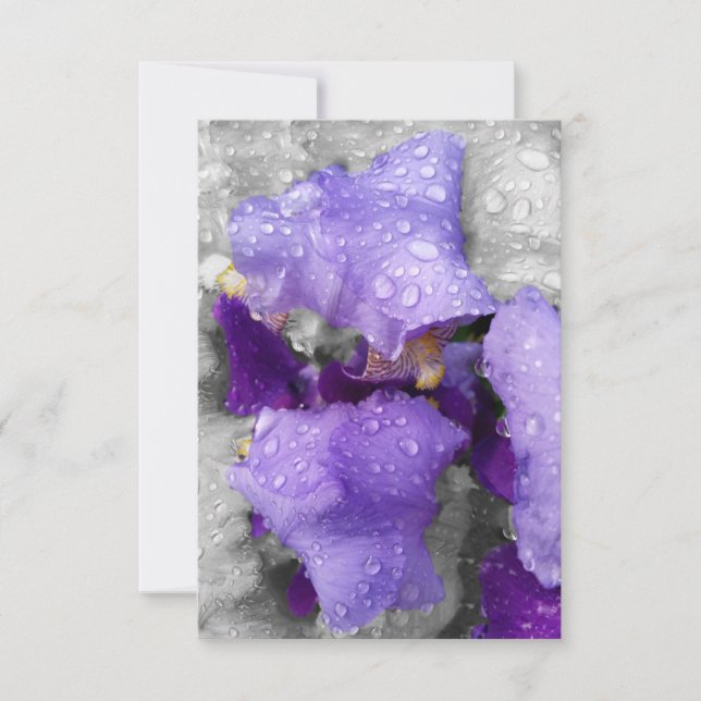 gotas de lluvia sobre el iris (Anverso)