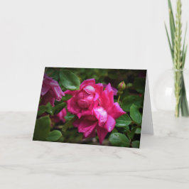 Gotas de lluvia y rosas rojas, tarjeta