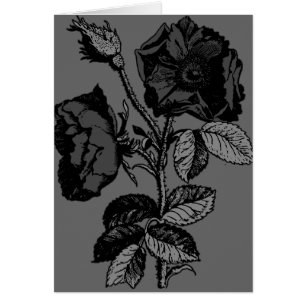 Gothic Black Antique Rose