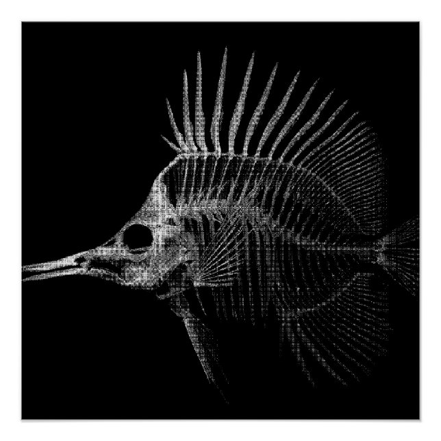 Gothic Fish Skeleton X-Ray Poster (Anverso)