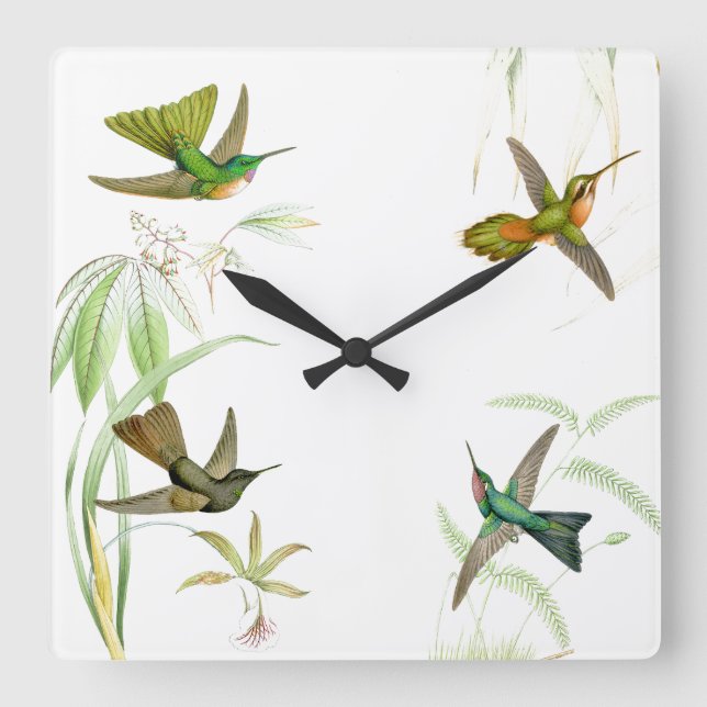 Goulds Hummingbirds Reloj de pared (Anverso)