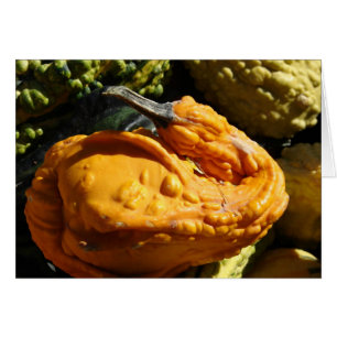 Gourd Que Parece Un Pato