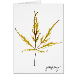 "Grabó al agua fuerte la hoja" por J. maya Luz