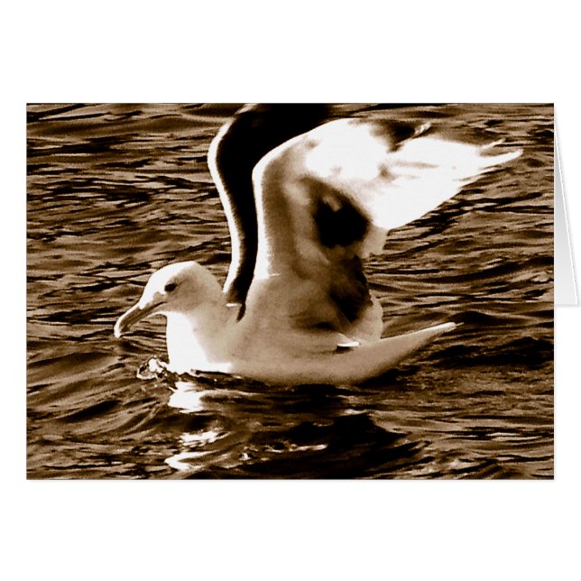 Grace_ (Anverso (Horizontal))