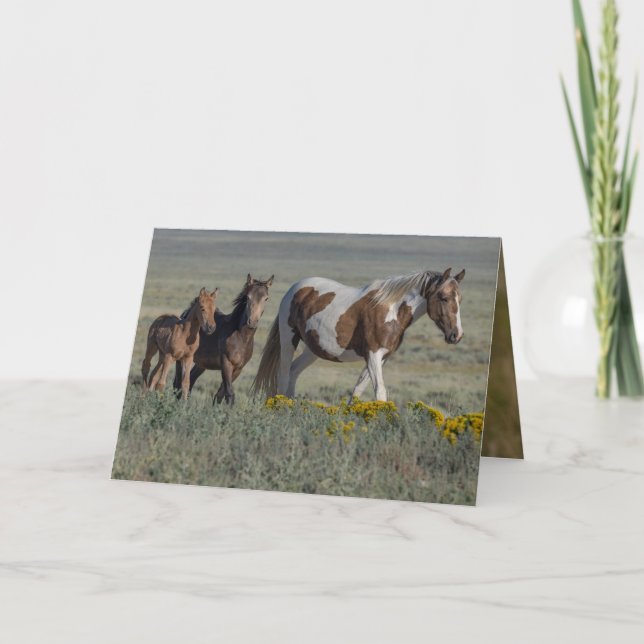 Grace y su tarjeta de felicitación a caballo salva (Anverso)