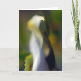 Graceful Floral plegado tarjeta en blanco