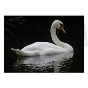 Graceus White Swan Card