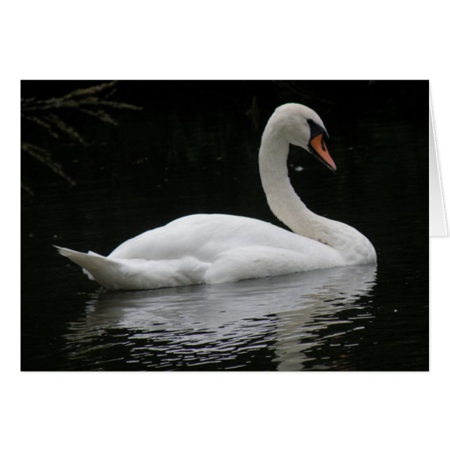 Graceus White Swan Card (Anverso (Horizontal))