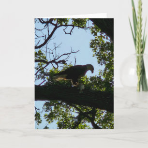 "Gracia antes de las comidas" Gracias Tarjeta