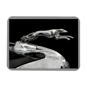 "Gracia cromada" - imán Greyhound