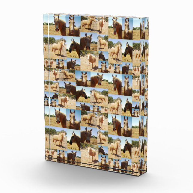 **"Gracia dorada: un Collage de fotos palomino"** (Derecha)