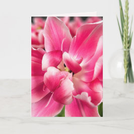 Gracia en cada estación | Tulipán Rosa Tarjeta de