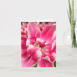 Gracia en cada estación | Tulipán Rosa Tarjeta de