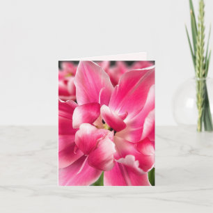Gracia en cada estación   Tulipán Rosa Tarjeta de 