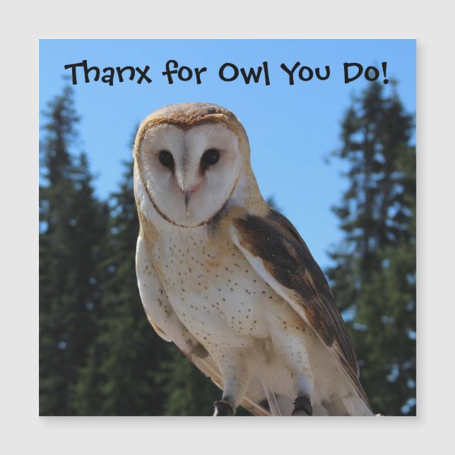 Gracias a Owl que haces - Magnético foto de búho d (Anverso)
