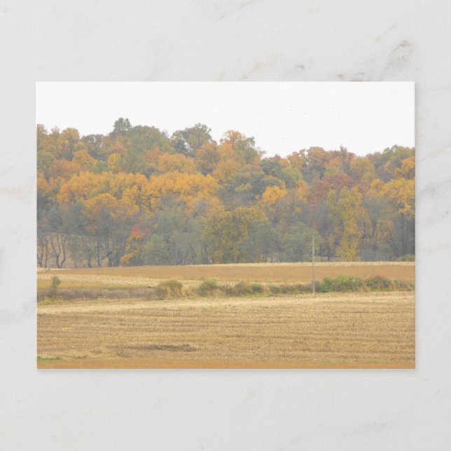 Gracias a un soldado, DSCF8702, postal (Anverso)