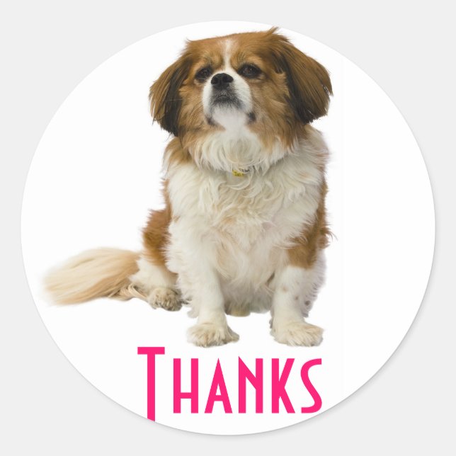 Gracias al Pegatina de Cachorros del Rey Charles S (Anverso)
