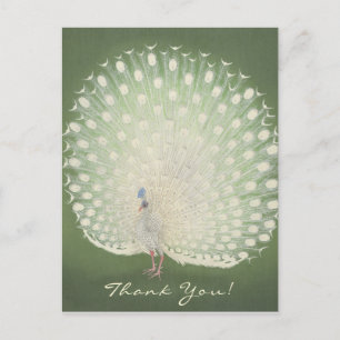 Gracias Bella Artes de Japón Postal de Peacock