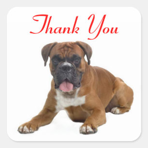 Gracias Boxer Puppy Dog, Pegatina De Saludos