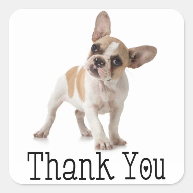 Gracias Bulldog francés Cachorro Perro Pegatina (Anverso)