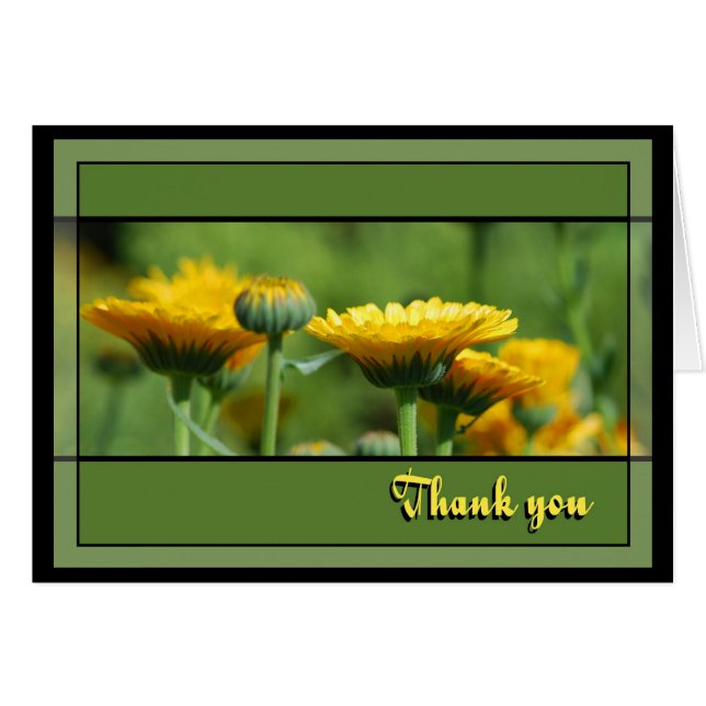 Gracias Calendula Garden (Anverso (Horizontal))