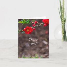 Gracias Cartera de tarjetas superior