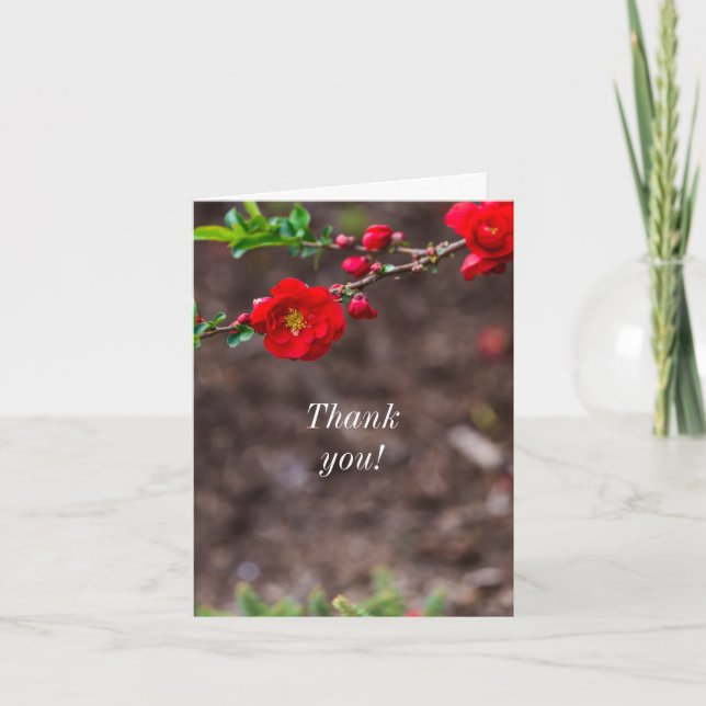 Gracias Cartera de tarjetas superior (Anverso)